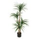 thumbnail image 1 of 4ft/5ft/6ft simulation dracaena artificial tree - great para home y oficina decoration, 1 of 5