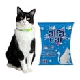 thumbnail image 3 of Kisha 12 KG + Alfa Cat 6 kg, 3 of 3