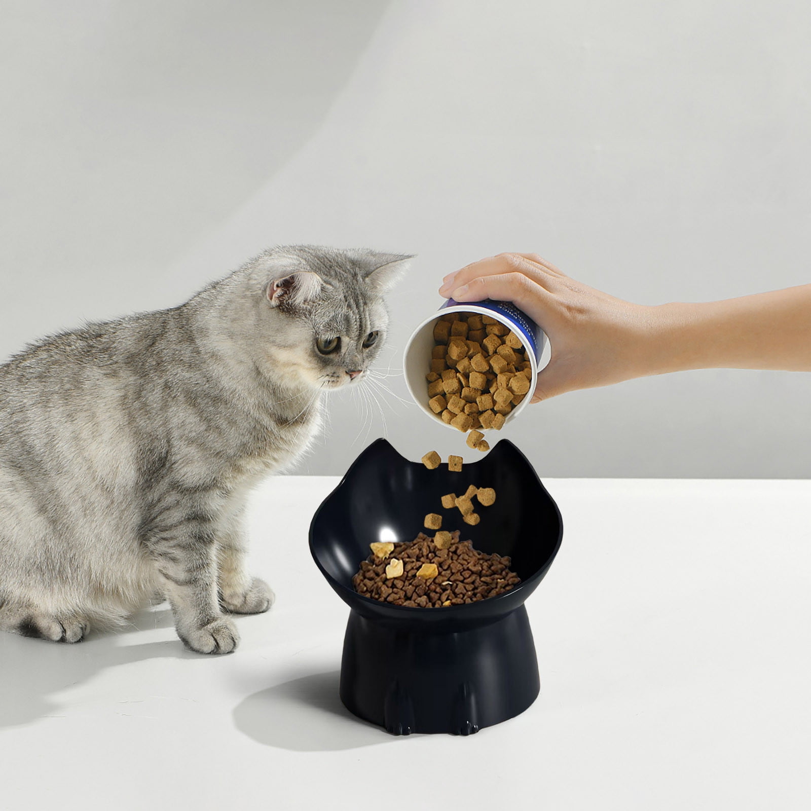 5pcs Tilted Elevated Cat Food Bowl - Cat Bowls Whisker Friendly Anti Vomiting Slanted Feeding Bowls Cute Shallow Bowl A