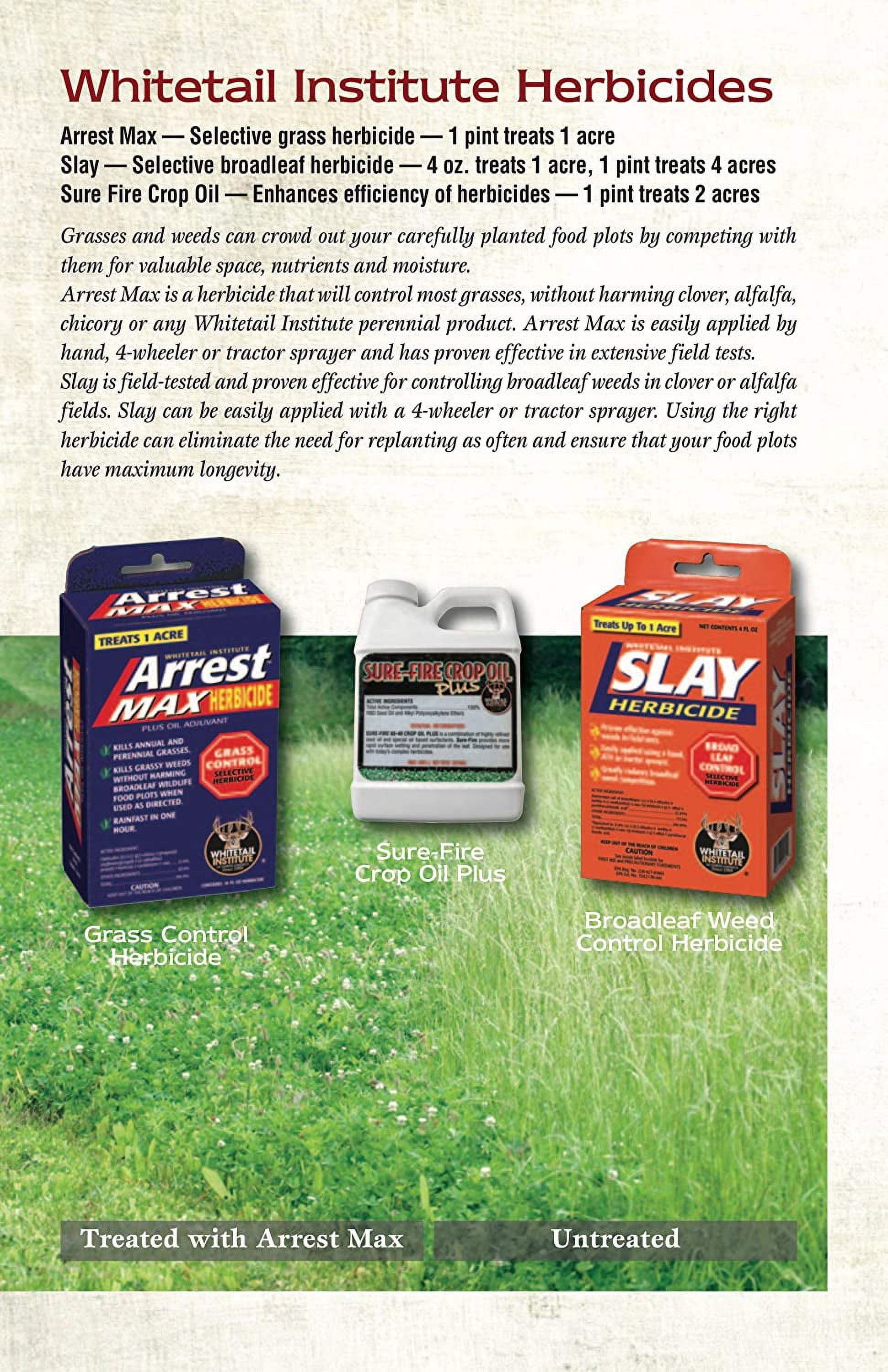 bermuda pre emergent herbicide Quali-Pro Prodiamine 4L Pre-Emergent Herbicide
