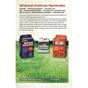 Whitetail Institute Slay Herbicide-4 Oz