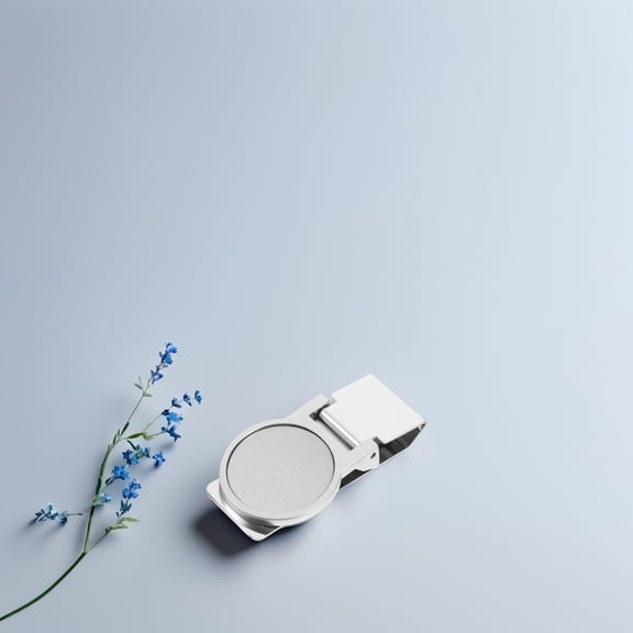 LOLIPPYY 2Pcs Stainless Steel Bill Clips Sleek Round Money Clips Portable Wallet Credit Card Holder