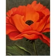 thumbnail image 1 of Great BIG Canvas | Rolled John Zaccheo Poster Print entitled Red Poppy, 1 of 4