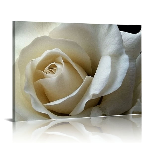 Shadudu Huge Roses In Wall Art Painting Pictures Print on Canvas Flower The Picture for Home Modern Decoration 36x24in