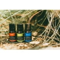 thumbnail image 6 of Plantlife Love Aromatherapy Essential Oil Blend - Straight From The Plant 100% Pure Therapeutic Grade - No Additives or Fillers - Made in California 10 ml, 6 of 8