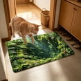 thumbnail image 4 of HCBY Doormat, 15.7x23.6in 3D Illusion Funny Welcome Mat, Non-Slip Absorbent Floor Rug, Humane Pet Deterrent Mat for Entryway Indoor Outdoor, 4 of 6