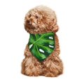 thumbnail image 4 of Naloa Palm Greenery Dog Bandanas 1PC Washable Triangle Dog Scarfs Premium Durable Fabric, for Small Medium Large Dogs and Cats, 4 of 6