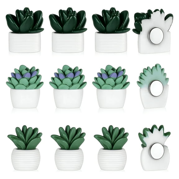 ACDANC 12 Pcs 3D Potted Plant Magnet Stickers, Cute Succulent Fridge Magnet, Mini Succulent Magnets for Locker Refrigerator Whiteboard, Creative Decorative Magnets for Kitchen Office Diy Home Decors