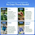 thumbnail image 5 of Texas Bluebonnet Seeds, 750+ Wildflower Seeds, Texas State Flower - Created By Nature, 5 of 6