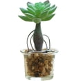 thumbnail image 1 of Coofit Artificial Succulent Plant Mini - Faux Potted Succulent Home Desktop Decoration, 1 of 4