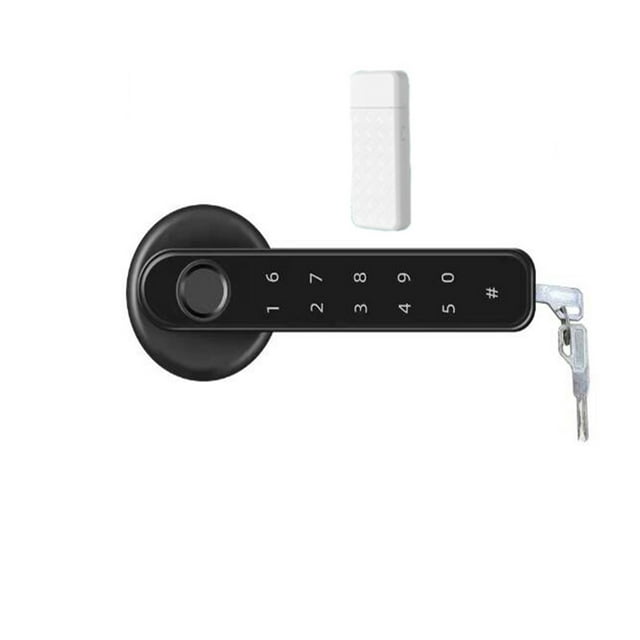 Door Lock, Home Smartlife Fingerprint & PIN Wireless Smart Handle Lock Biometrics Tuya Blue-tooth Access Control Door Lock ,Easy to Install