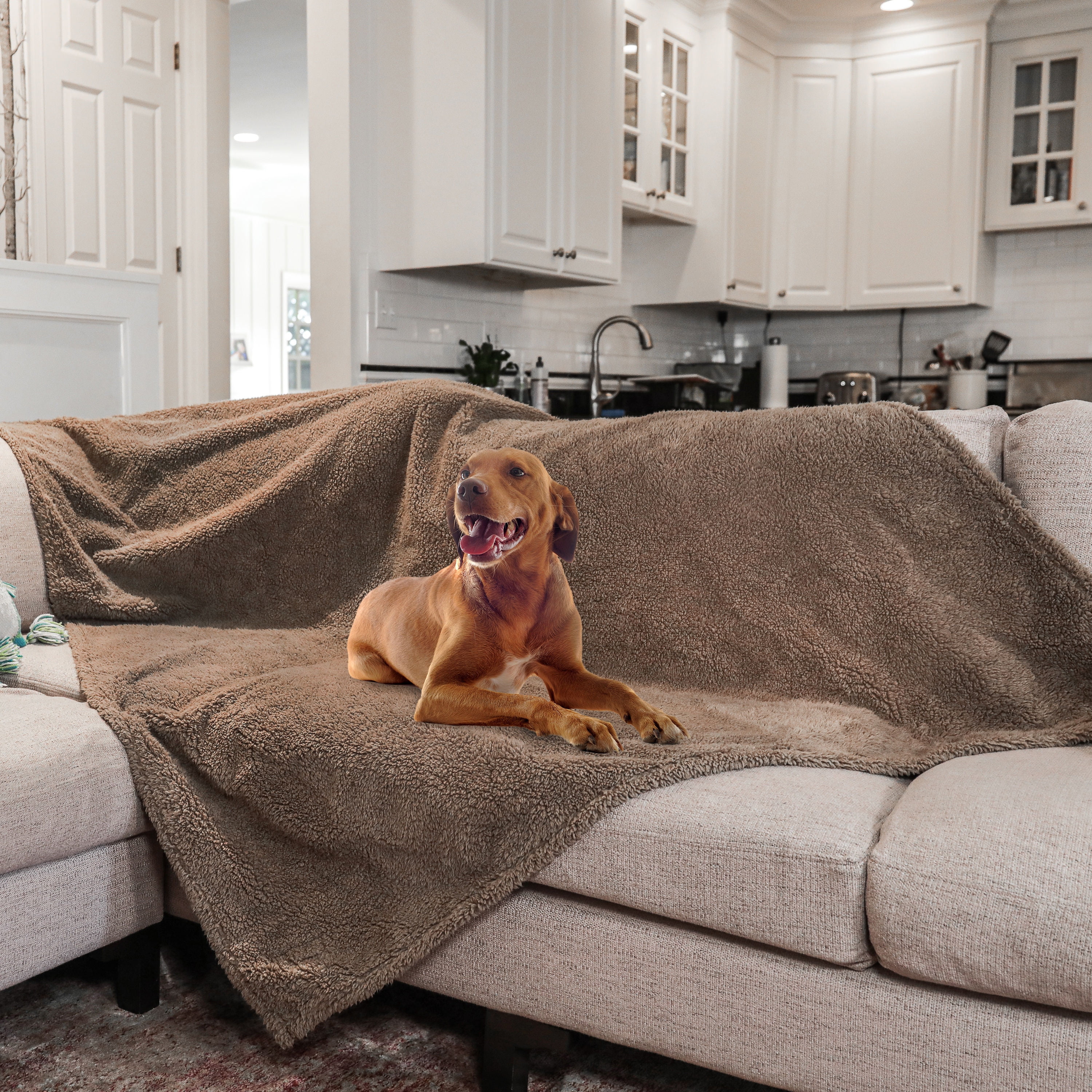 rocket & rex Extra Large Waterproof Dog Blanket, Brown, Washable Waterproof Pet Blanket Protects Beds, Couches & Other Furniture, Premium Fleece Fabric with Reversible Faux Suede, 56" x 73"