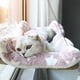thumbnail image 3 of Cama colgante para gatos, hamaca para gatos, cama aérea para mascotas, casa para gatos, marco de escalada para gatitos, asiento soleado para ventana, nido con capacidad para 20 kg, accesorios para g, 3 of 5