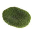 thumbnail image 3 of 12Pcs Green Artificial Moss Stones Simulation Grass Bryophyte Bonsai Garden DIY Landscape Decor, 3 of 4
