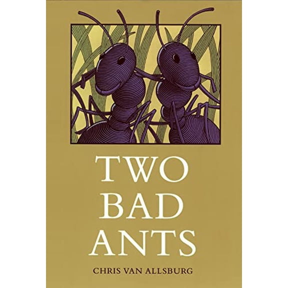 Pre-Owned Two Bad Ants Paperback