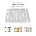 thumbnail image 3 of Máquina Para Incubar Aves De Corral, Control De Temperatura Incubadora De Huevos Multiusos Gran Capacidad Inteligente Automática Eficiente Para Pollo Para Ganso, 3 of 7