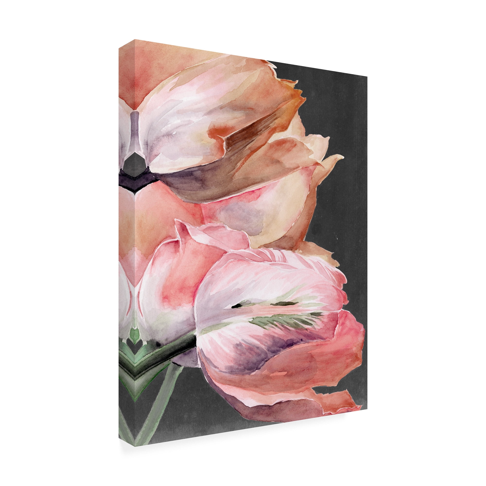 Trademark Fine Art 'Pastel Parrot Tulips IV' Canvas Art by Jennifer Paxton Parker