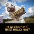 thumbnail image 5 of Egmont Honey 550 MGO Manuka Honey 250g, British Import (Pack of 2), 5 of 5
