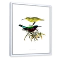 thumbnail image 3 of Designart 'Ancient Australian Birds XV' Traditional Framed Canvas Wall Art Print, 3 of 5