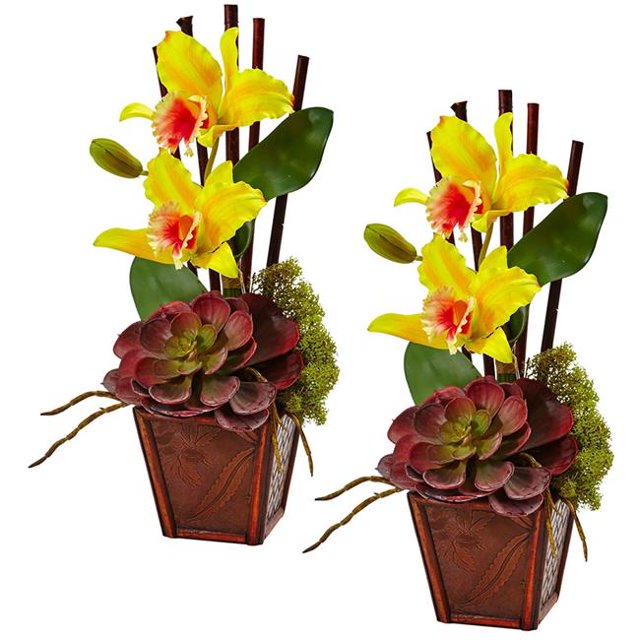 Cattleya Orchid & Succulent Arrangement - Yellow, Set of 2