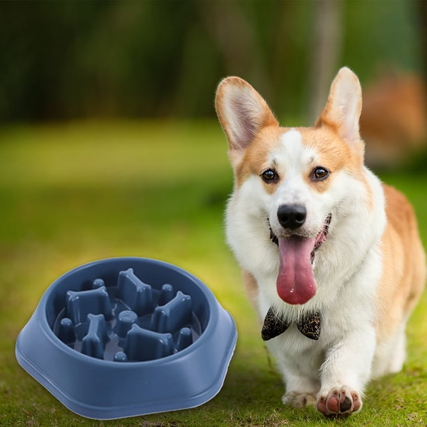 Plato de comida lenta para mascotas Gato Perro Anti asfixia Cachorro Alimentador Tazón de comida (Azul) Ndcxsfigh Nuevos Originales