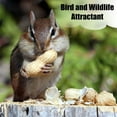 thumbnail image 2 of Old Potters Wildlife in-Shell Peanuts, 4 lbs for Birds, Squirrels, and Wildlife. USA Grown Non-GMO, Small Farm, Raw in-Shell Peanuts. Wildlife Grade., 2 of 6