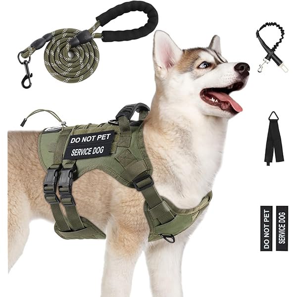 wonima02 No Pull Tactical Dog Harness for Large Dogs, Escape Proof Molle Dog Vest Harness and Leash Set, Adjustable Military Service Dog Harness with Handle for Medium Large Dogs(Green, M)