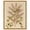 Gold Frame, variant on Green Lizard Canvas Vintage Botanical by Art Remedy, Black Frame, 30 x 36