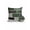 Emerald, Sage, White, Charcoal, variant on 1 Pack Outdoor Pillows Waterproof, Animal Fur Print Indoor/Outdoor Throw Pillows with Inserts, Green Giraffe Zebra Striped Abstract Decorative Pillow for Patio Furniture Chairs Couch