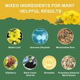What Is The Best Mullein Extract Mullein Drops for Lungs - Liquid Mullein Leaf Extract for Lungs Cleanse