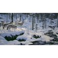 thumbnail image 2 of Tift, Jeff 18x12 Gold Ornate Wood Framed with Double Matting Museum Art Print Titled - Winters Cry, 2 of 4
