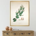 thumbnail image 2 of Designart 'Ancient Botanicals XIII' Farmhouse Framed Canvas Wall Art Print, 2 of 5