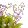 thumbnail image 4 of 10 in. Mauve Lily-of-the-Valley Flowers in Wood Box, 4 of 4