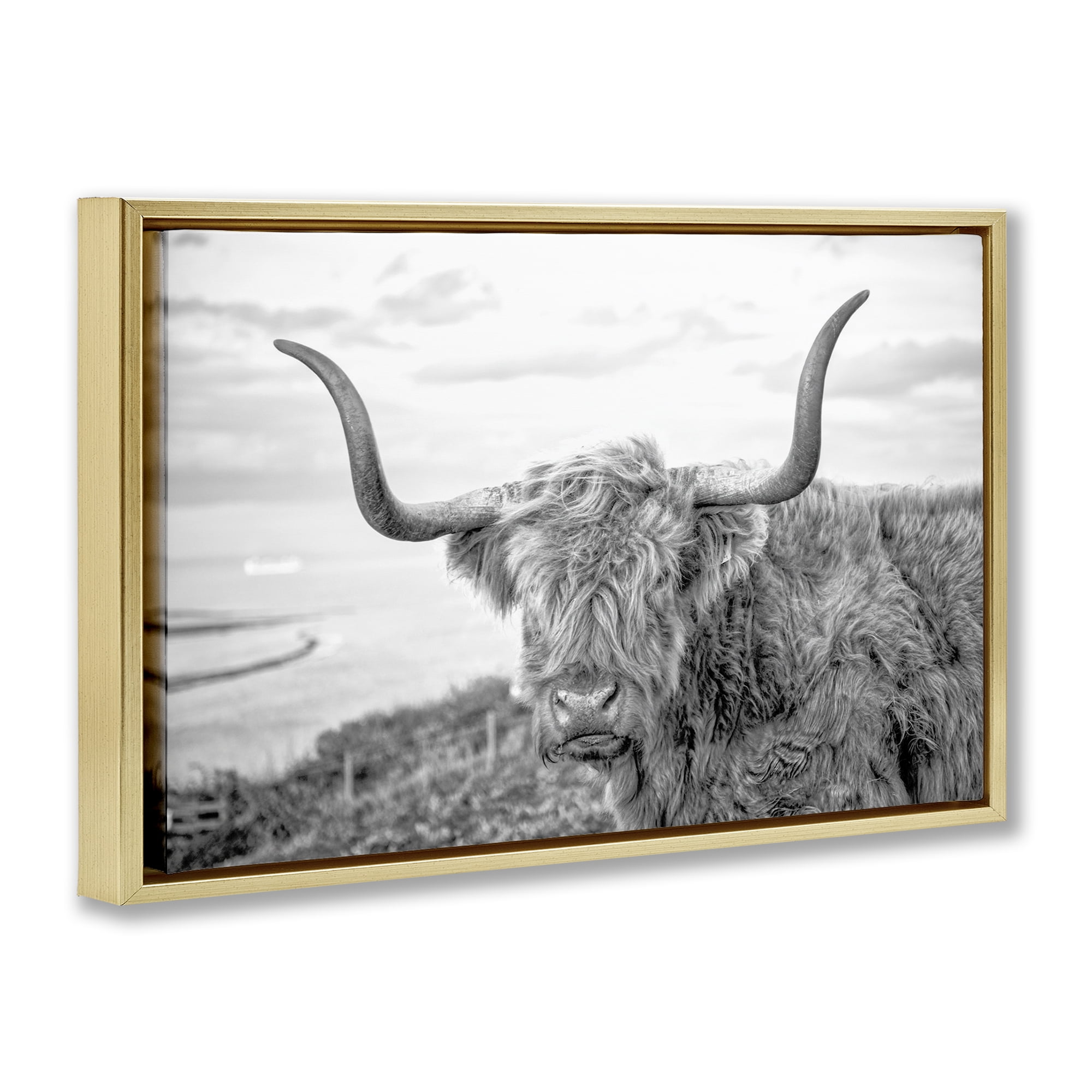 Stupell Industries Traditional Fuzzy Cattle Animals & Insects Photography Gold Floater Framed Canvas Art Print Wall Art, 31 x 21
