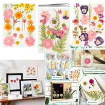 63 Pcs Pressed Flowers, Real Dried Flower Leaves for Scrapbooking Crafts DIY Soap Candles Making Nails Decor