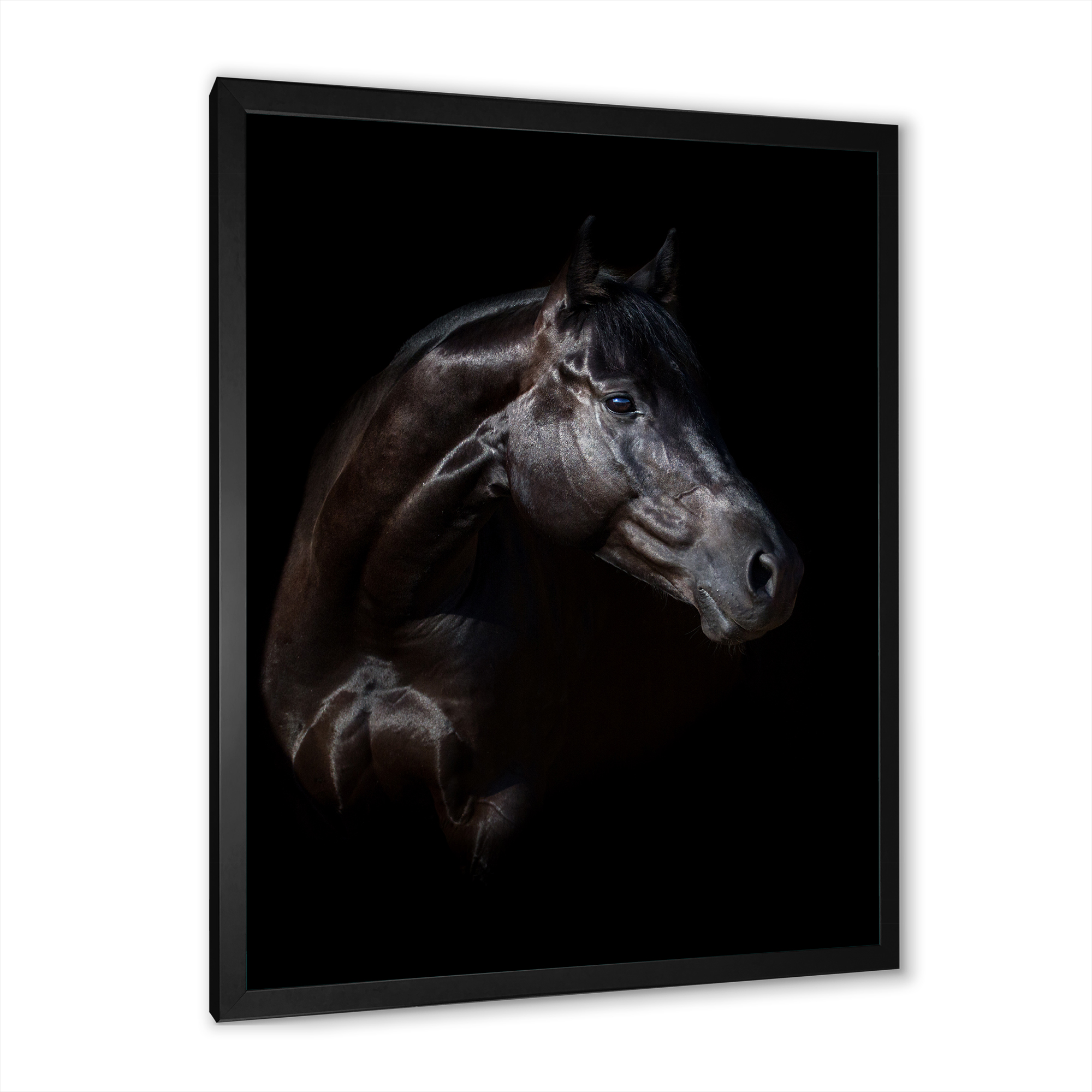 Designart 'Silhouette Of Horse and Woman' Farmhouse Framed Art Print