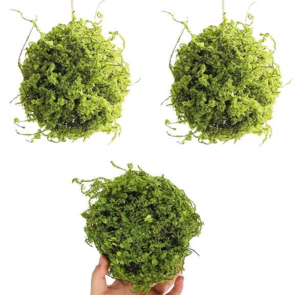 2 Pcs 5 Inch Artificial Moss Balls,Bexikou Faux Greenery Topiary Balls for Bowl Vase Fillers, Table Centerpieces & Home Wedding Decor