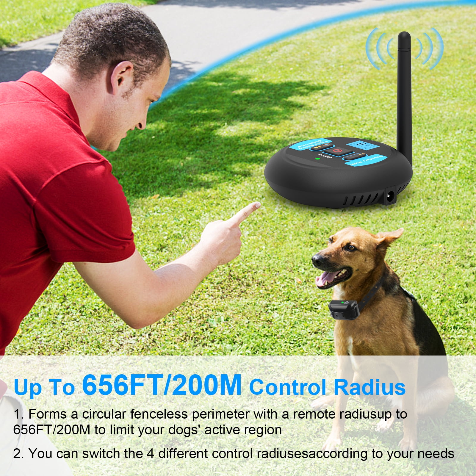 Fenceless yard for dogs hot sale