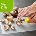 thumbnail image 5 of Prep Solutions 6pc Multi Color Kitchen Prep Set, 5 of 11