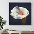 thumbnail image 2 of PixonSign Canvas Print Wall Art Crisp Detailed White Calla Lily Floral Plants Photography Realism Glam Closeup Colorful Multicolor Ultra for Living Room, Bedroom, Office - 24"x24", 2 of 5