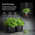 thumbnail image 5 of 3/5/10 Gallon Growth Bag, Reinforced Pot, For Gardening, Black, 5 of 7