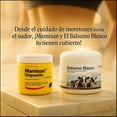 thumbnail image 5 of B&aacute;lsamo Blanco LA VAQUITA/ MAMISAN Quema Grasa, Elimina Celulitis, Hidrata-Reafirma Piel,Reduce Medidas kit de 2 Frascos 3.52oz Anticelul&iacute;tico Natural, 5 of 5