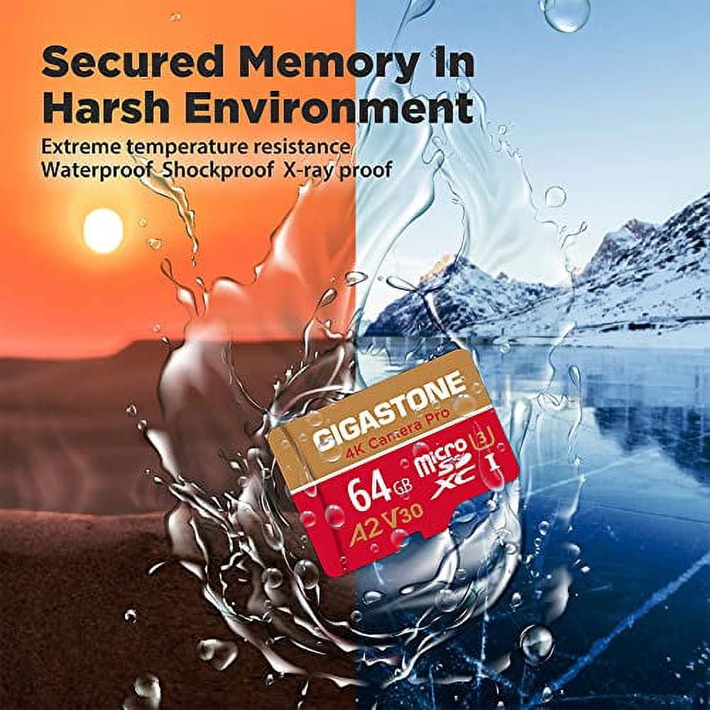 Gigastone 64GB 2-Pack Micro SD Card, 4K Camera Pro for GoPro, Security Camera, Wyze, DJI, R/W up to 95/35MB/s MicroSDXC Memory Card UHS-I U3 A2 V30 - GS-2IN1-4KA2V30-64GBX2-R