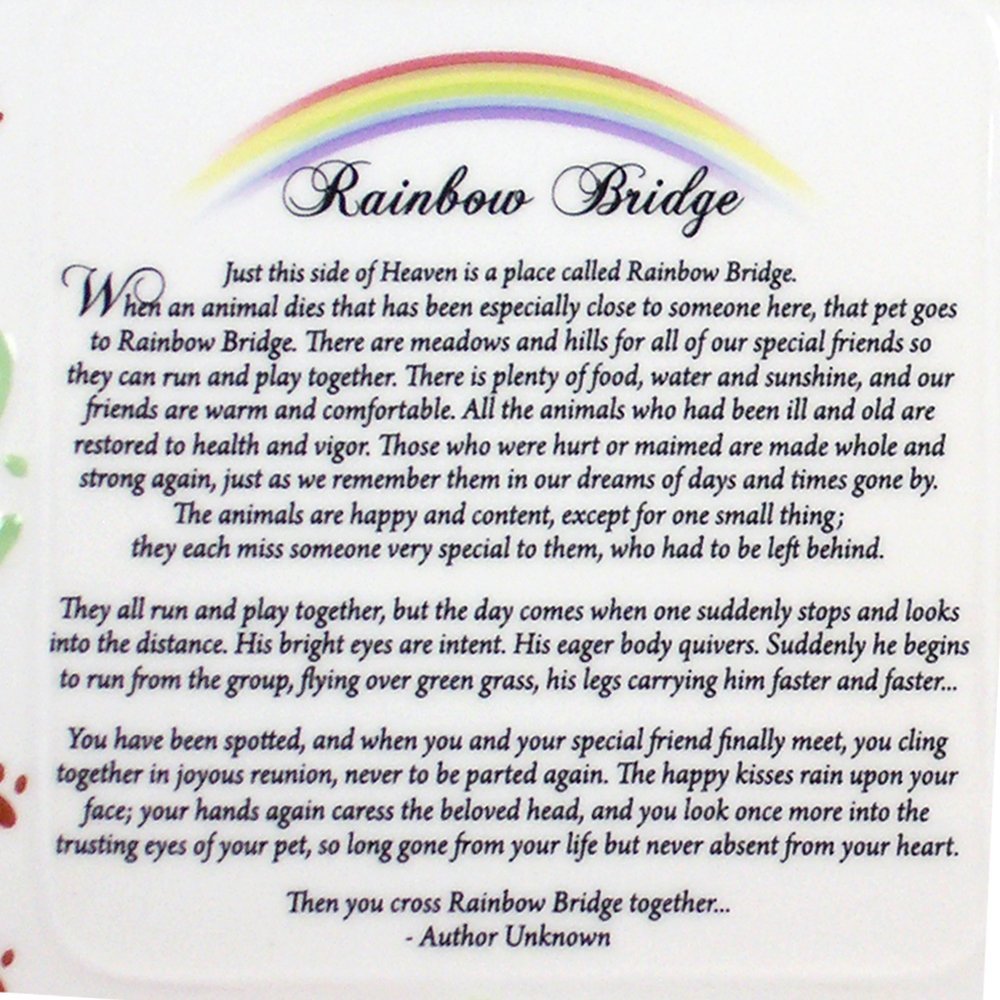 pet bereavement photo frame rainbow bridge poem walmart com