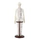 thumbnail image 3 of Modelo de acupuntura para práctica humana, modelo de estudio de PVC de 20 pulgadas de alto para profesionales. Mujer dura, 3 of 9