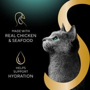 Sheba Selections Filets in Broth Chicken Flavor Wet Cat Food Meal Complement, 1.3 oz Cup