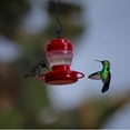 thumbnail image 2 of Hovilon Bird Feeders for Outdoors Hanging，Bird Feeder Hanging Garden Yard Outside Decoration Bird Food，,Ideal Bird Feeder Gift for Bird Lovers（3pcs）, 2 of 4