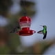 thumbnail image 2 of Feeder Hanging Garden Yard Outside Decoration Food, 2 of 4