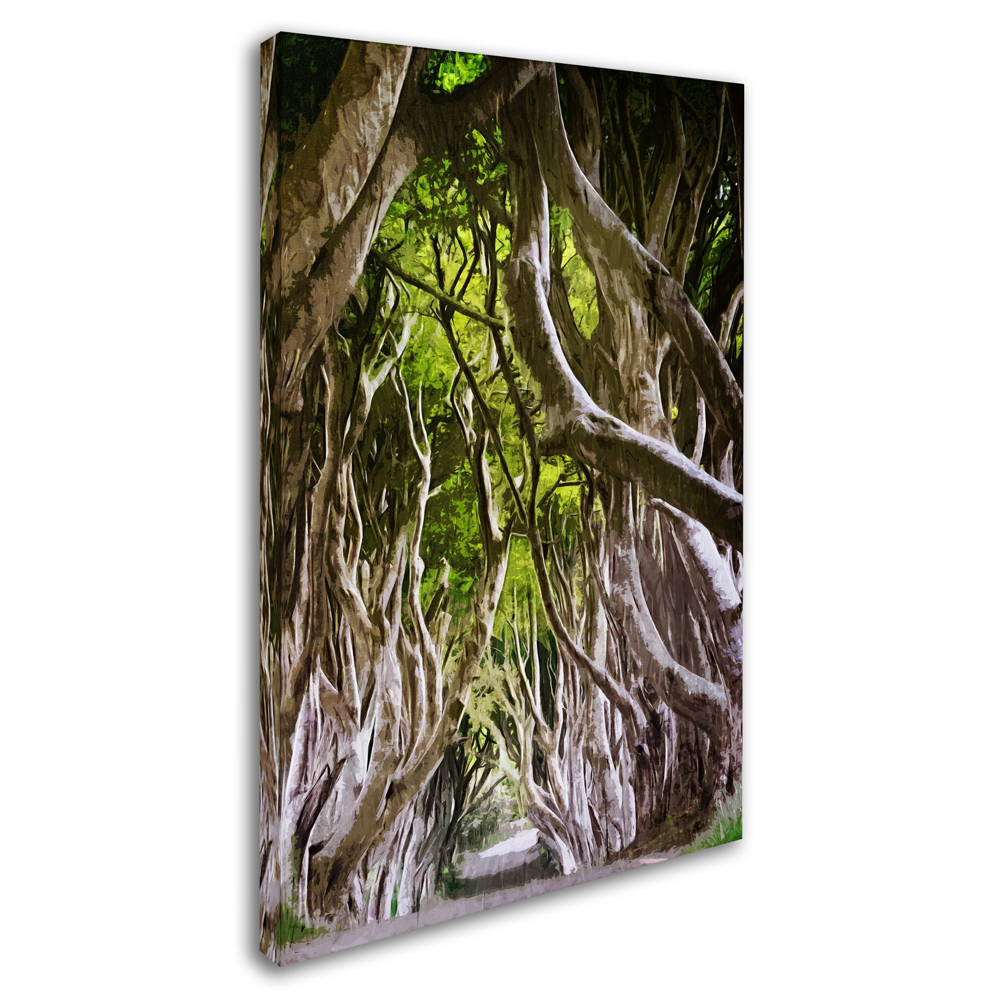 Trademark Fine Art "King of the Woods" Canvas Art by Philippe Sainte-Laudy