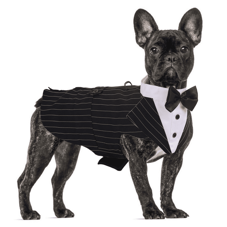 Black Dog Tuxedo Dog Wedding Attire Designer Dog Clothes 